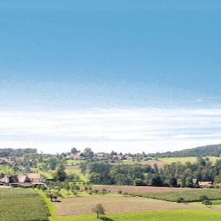 Gasthaus Pension Heidhof Freiamt エクステリア 写真