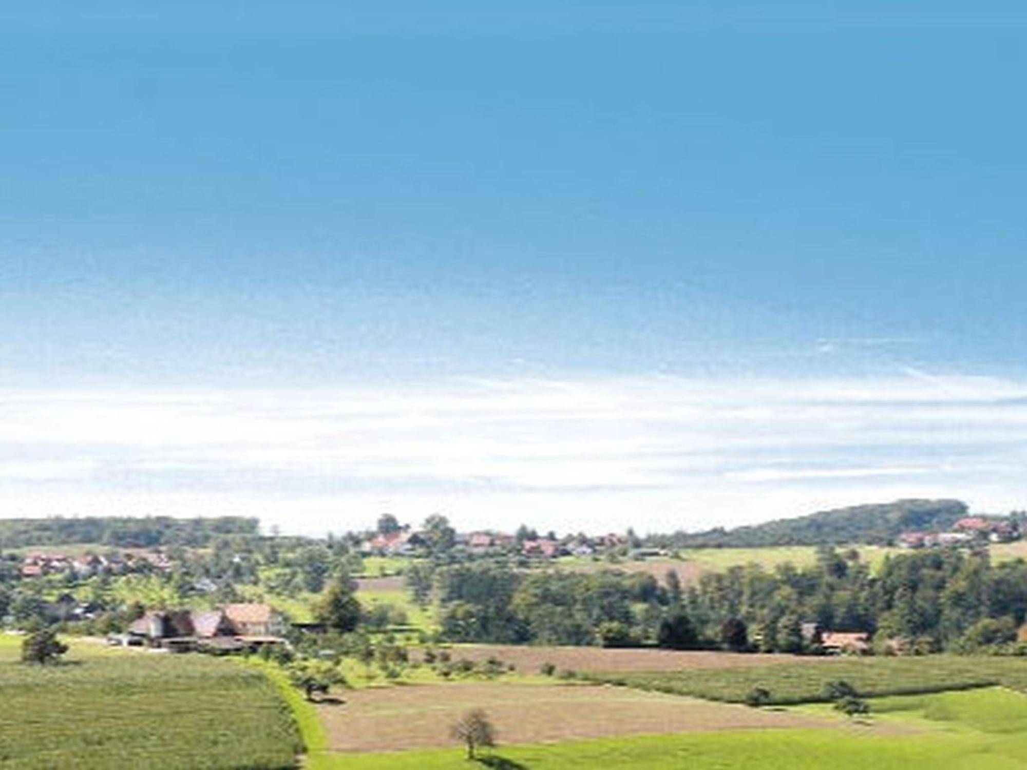 Gasthaus Pension Heidhof Freiamt エクステリア 写真