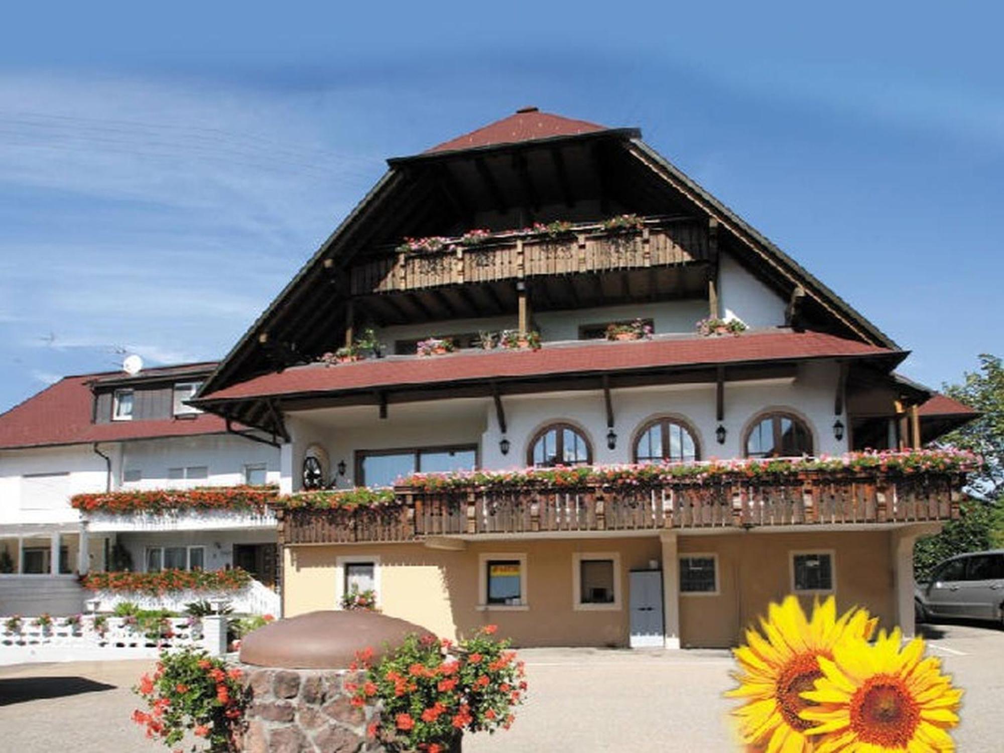 Gasthaus Pension Heidhof Freiamt エクステリア 写真